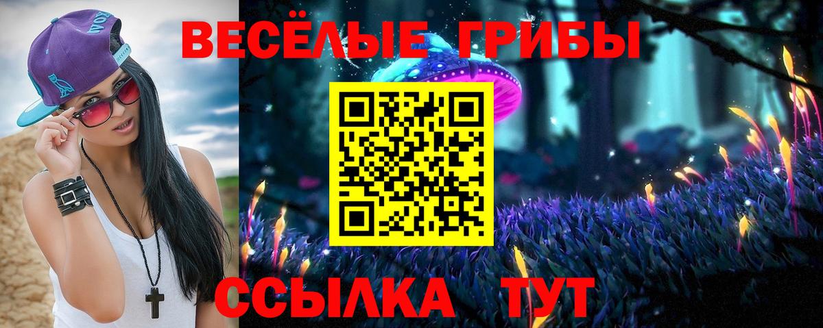 Рузаевка  Псилоцибиновые грибы Psilocybine cubensis  купить наркотик  Вход с VPN 