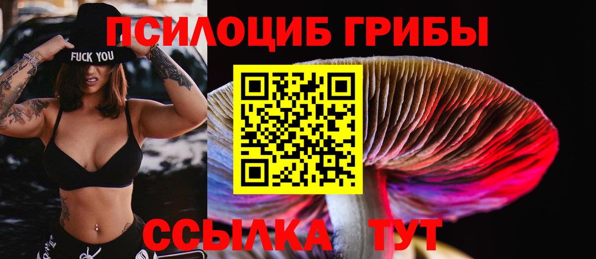 Галлюциногенные грибы прущие грибы Рузаевка